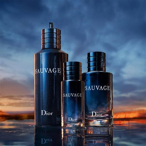 wie riecht dior sauvage|sauvage Dior for men.